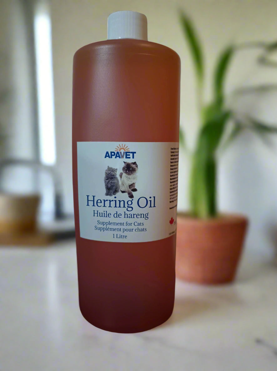 Pure Herring Fish Oil 1 Bottle for Cats