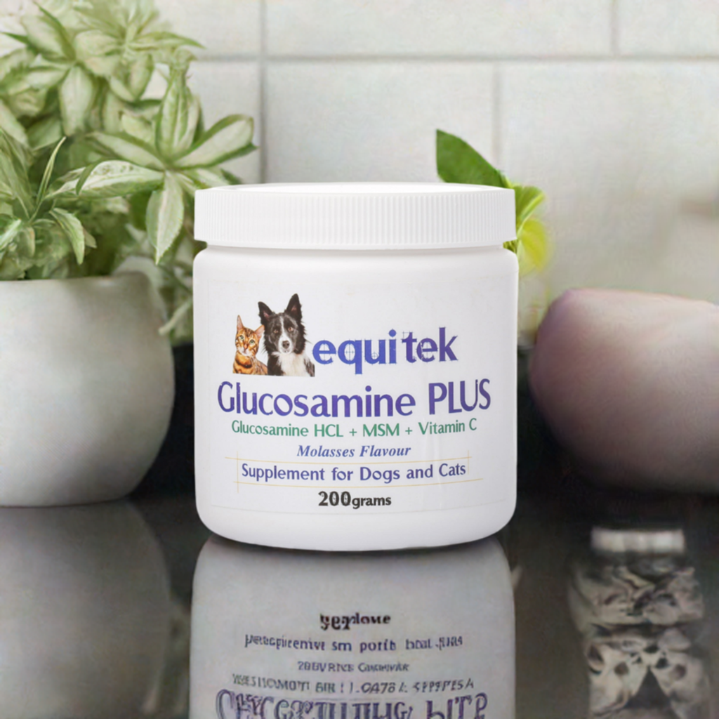 ApaVet BioCeuticals Glucosamine HCL Plus - 200g