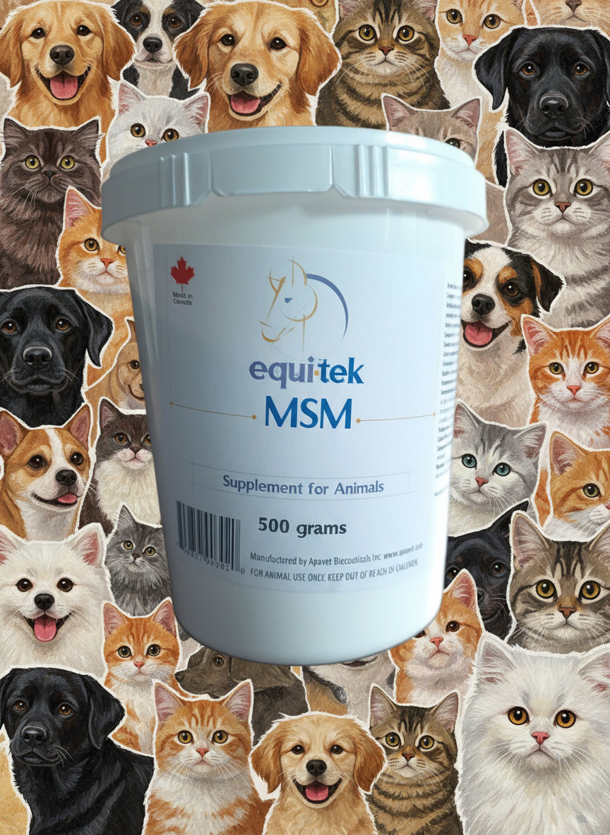 Equitek MSM supplement container on a funky cat and dog collagebackground
